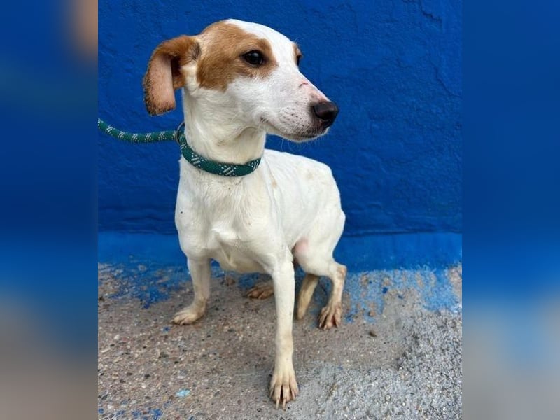 RIA Menschen findet Ria richtig gut