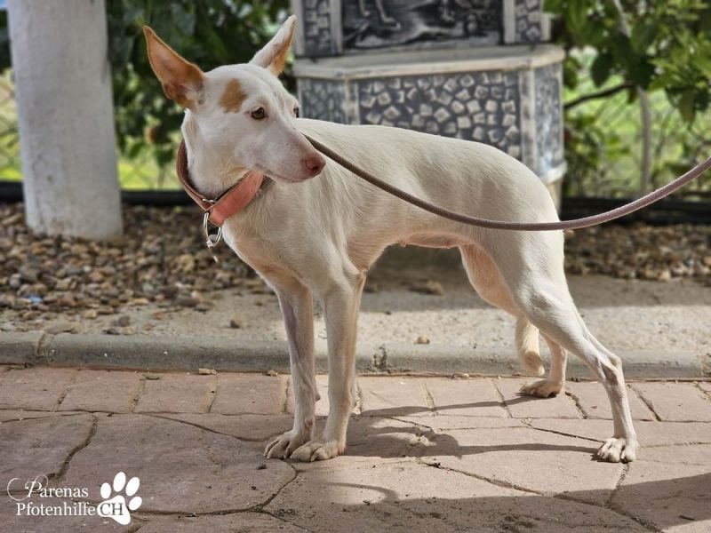 Nivea bezaubert durch ihre fröhliche und ausgeglichene Art