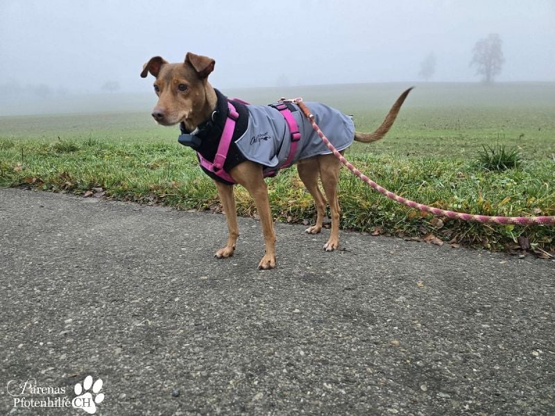 Naomi befindet sich bereits auf PS in der Schweiz