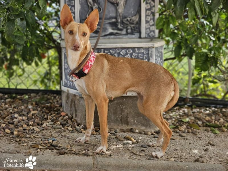 Onda ist sehr menschenbezogen