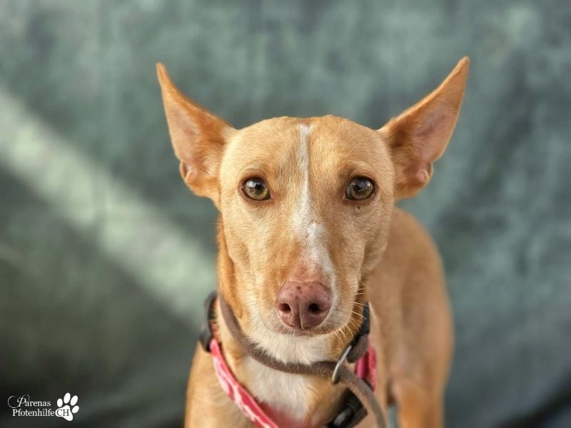 Onda ist sehr menschenbezogen