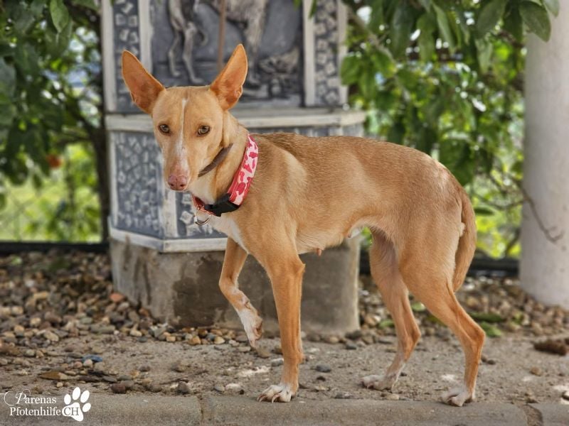 Onda ist sehr menschenbezogen