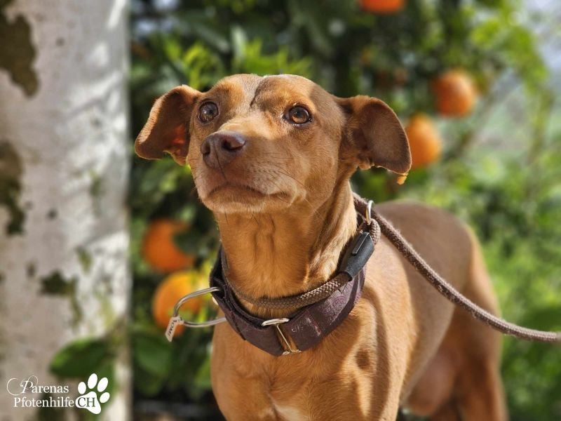 Naomi befindet sich bereits auf PS in der Schweiz