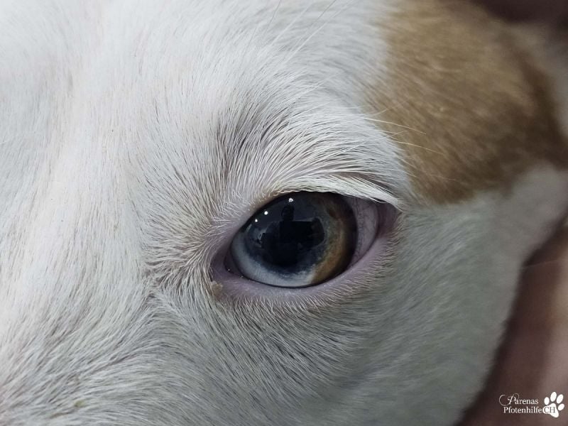 Nivea bezaubert durch ihre fröhliche und ausgeglichene Art