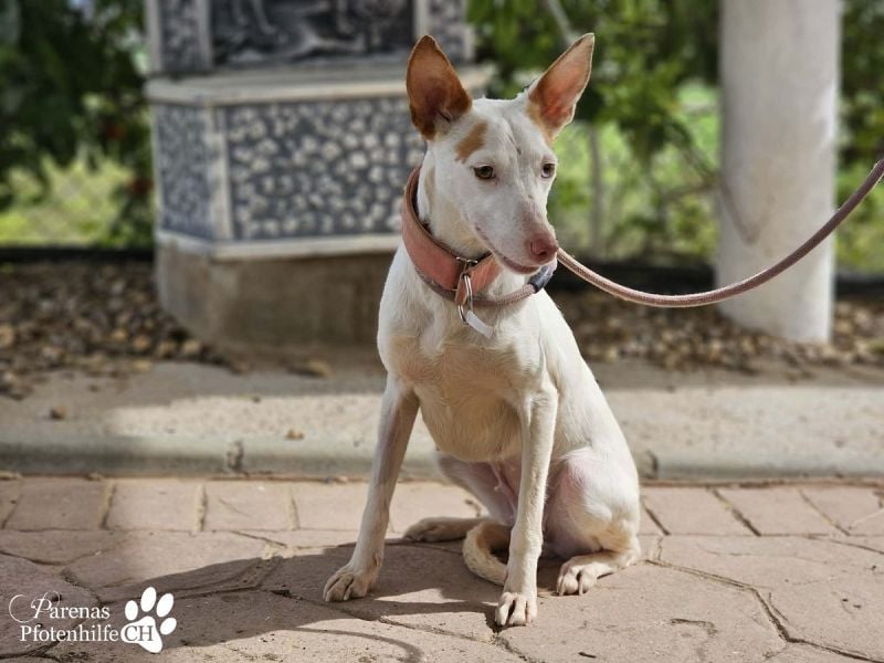 Nivea bezaubert durch ihre fröhliche und ausgeglichene Art