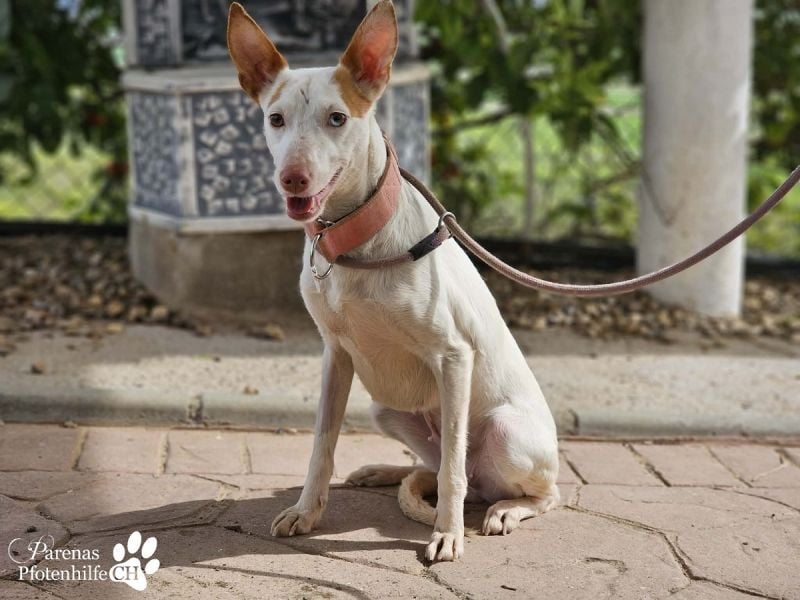 Nivea bezaubert durch ihre fröhliche und ausgeglichene Art