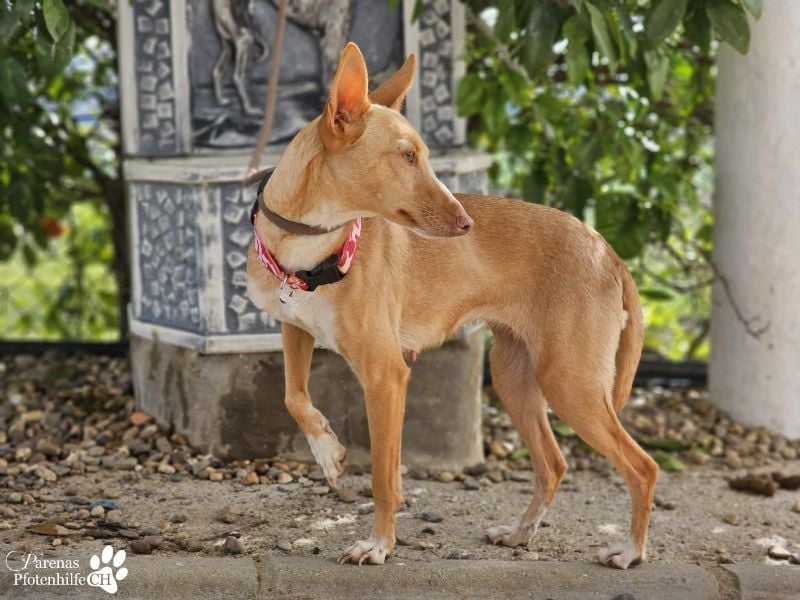 Onda ist sehr menschenbezogen