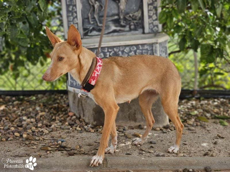 Onda ist sehr menschenbezogen