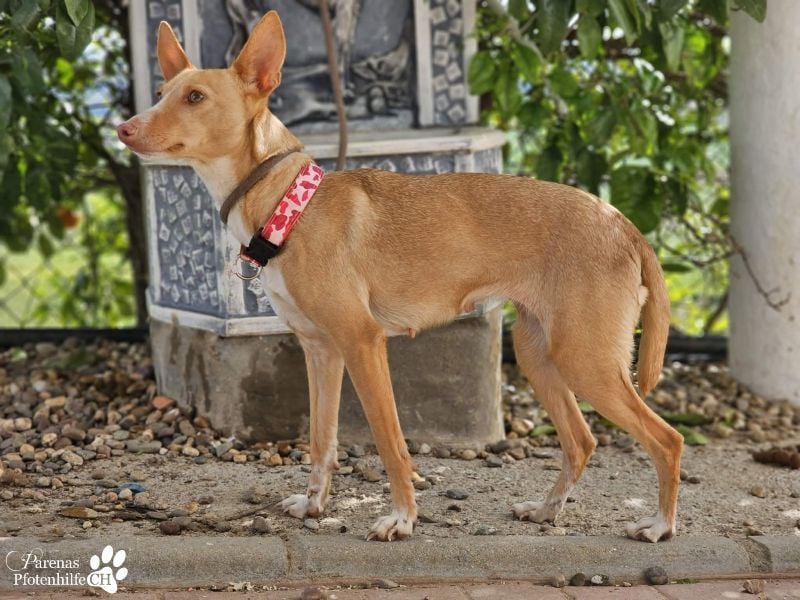 Onda ist sehr menschenbezogen