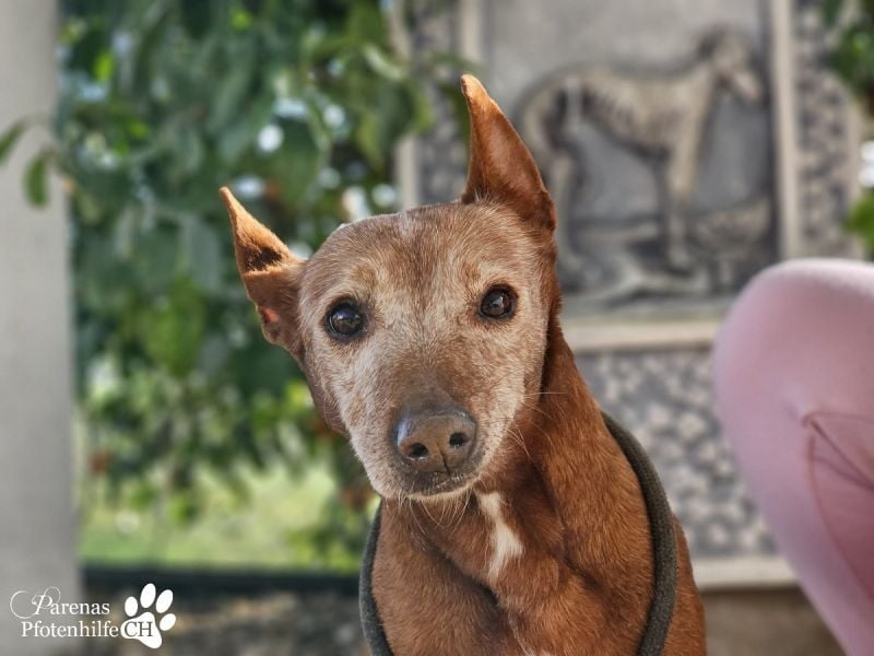 Mariela hat ein ruhiges, fröhliches Wesen