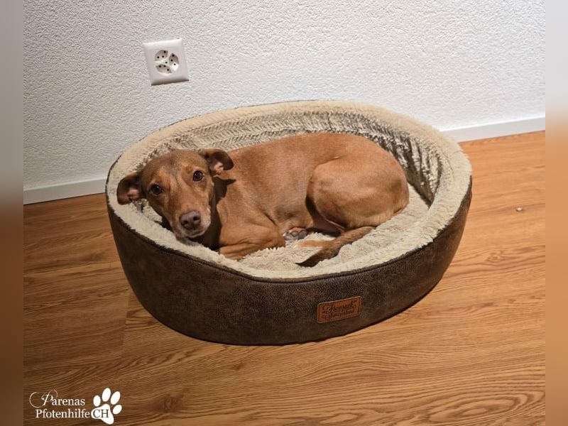 Naomi befindet sich bereits auf PS in der Schweiz