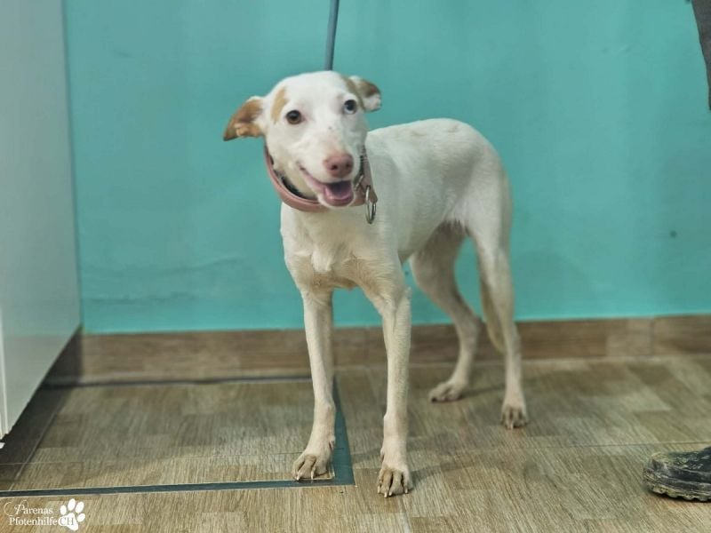 Nivea bezaubert durch ihre fröhliche und ausgeglichene Art