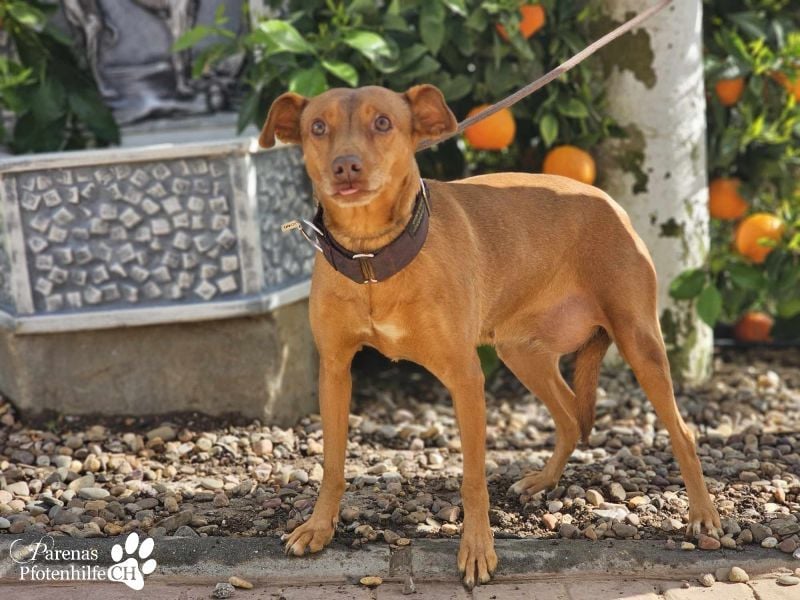 Naomi befindet sich bereits auf PS in der Schweiz