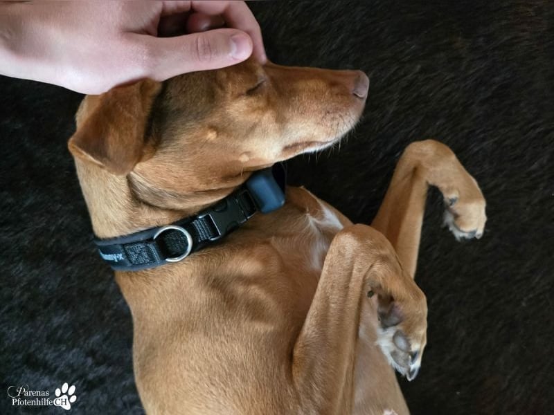 Naomi befindet sich bereits auf PS in der Schweiz