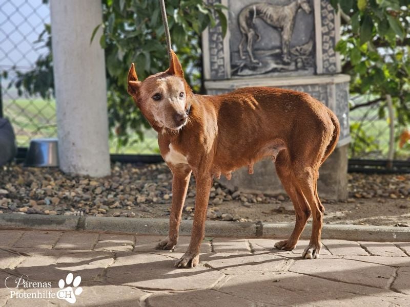 Mariela hat ein ruhiges, fröhliches Wesen