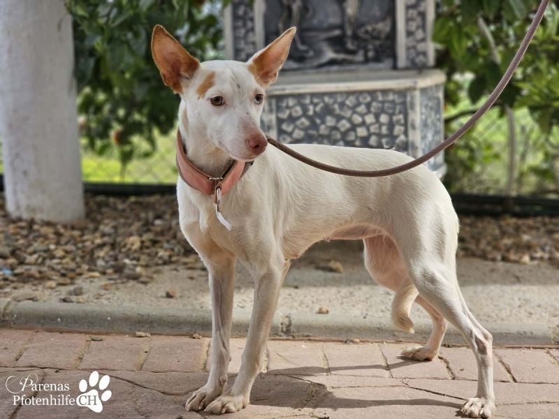 Nivea bezaubert durch ihre fröhliche und ausgeglichene Art