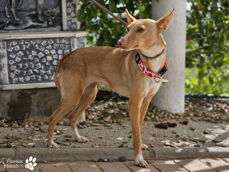 Onda ist sehr menschenbezogen