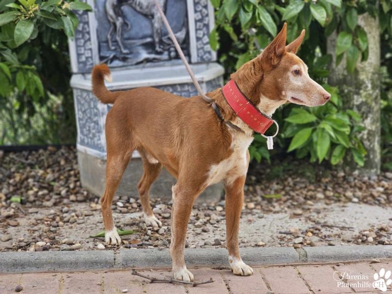 Cristian ist vom Wesen her entspannt und ausgeglichen