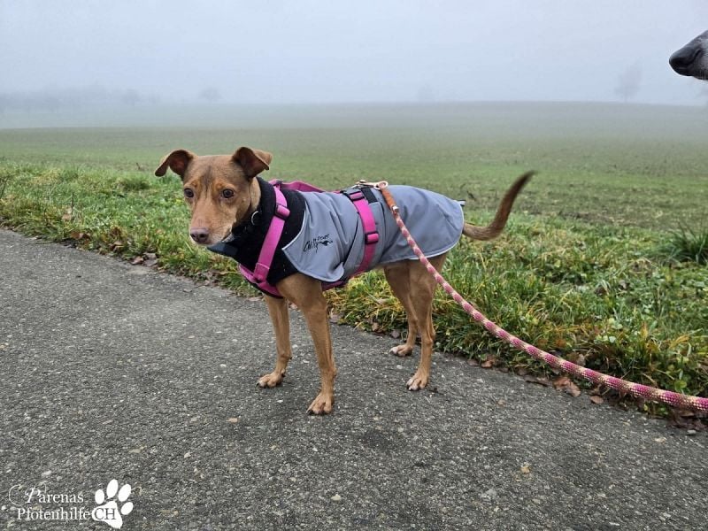 Naomi befindet sich bereits auf PS in der Schweiz