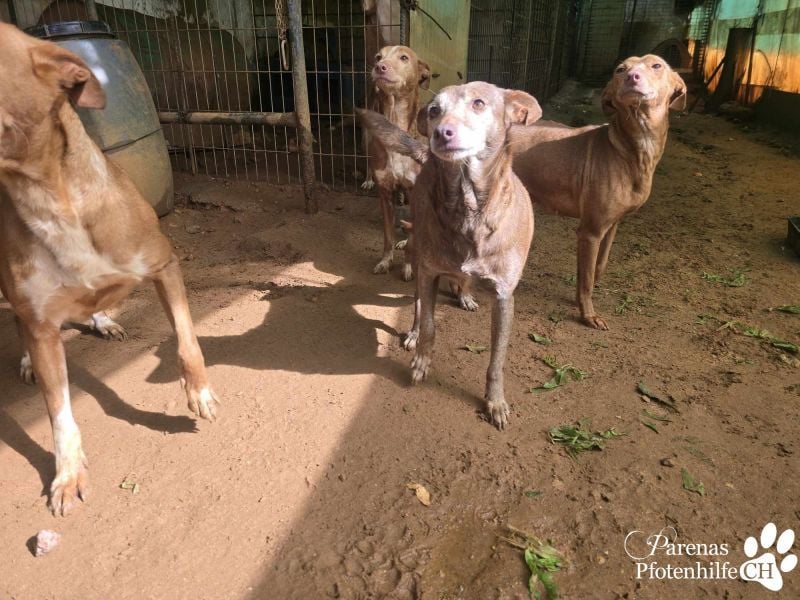 Cristian ist vom Wesen her entspannt und ausgeglichen