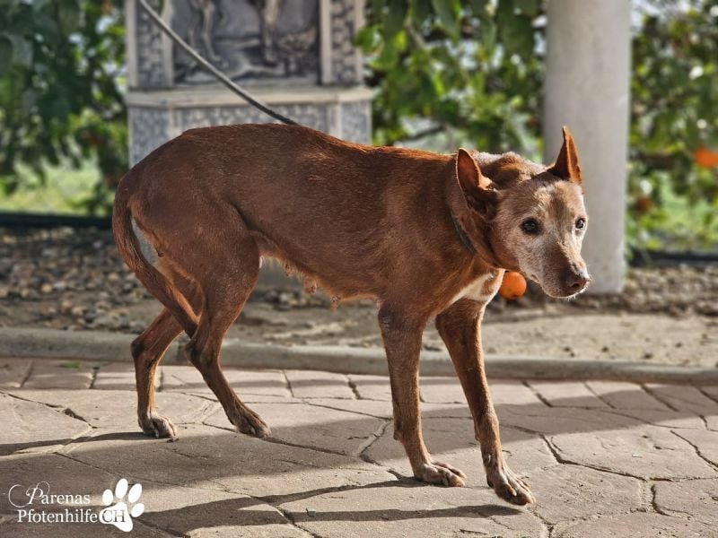 Mariela hat ein ruhiges, fröhliches Wesen