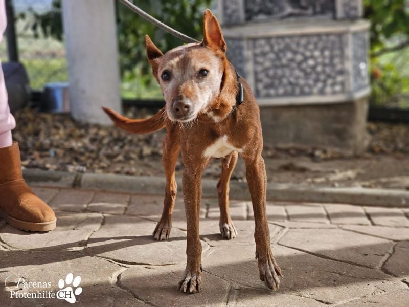 Mariela hat ein ruhiges, fröhliches Wesen