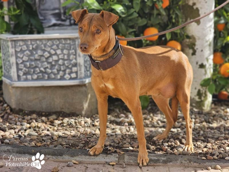 Naomi befindet sich bereits auf PS in der Schweiz