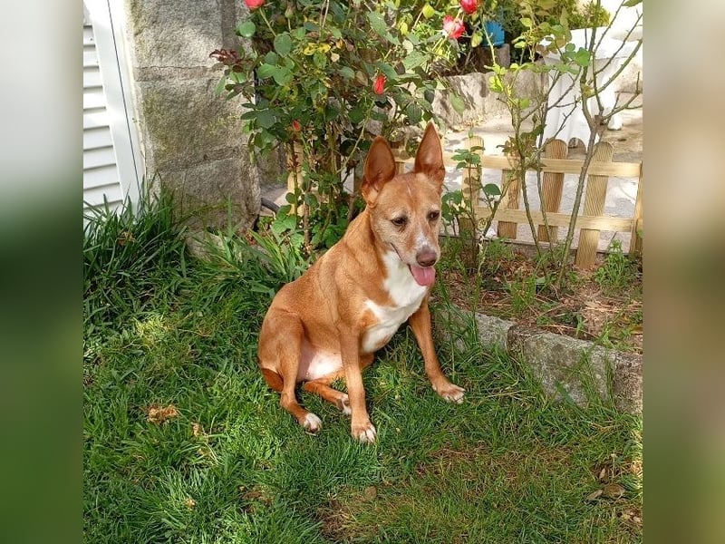 ❤️AUREA❤️    ❗NOTFALL❗