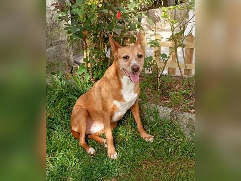 ❤️AUREA❤️    ❗NOTFALL❗