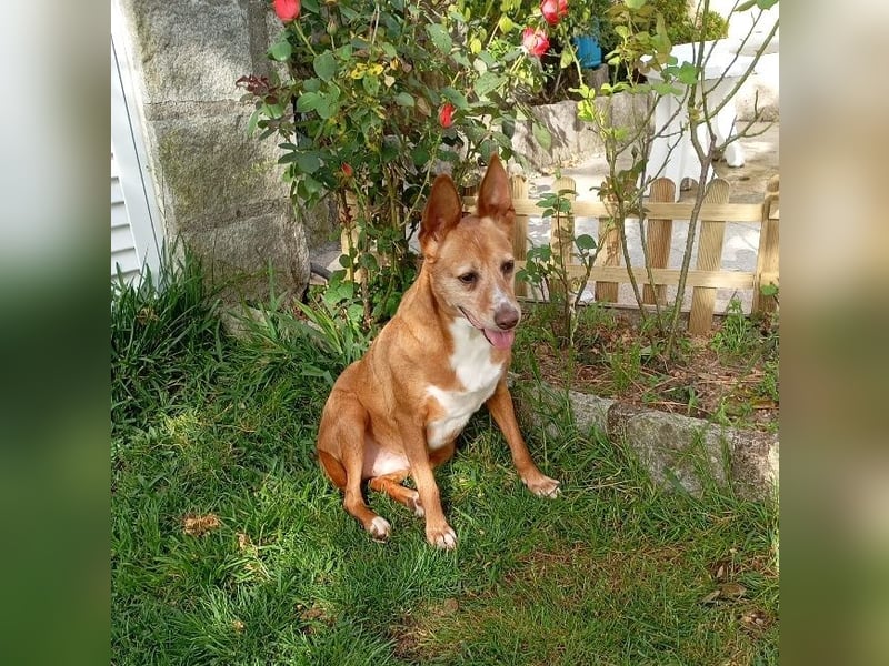 ❤️AUREA❤️    ❗NOTFALL❗