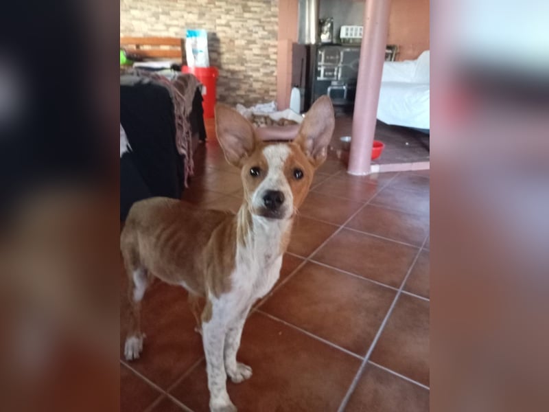 ❤️ CUCA ❤️