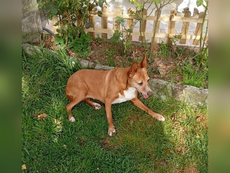 ❤️AUREA❤️    ❗NOTFALL❗