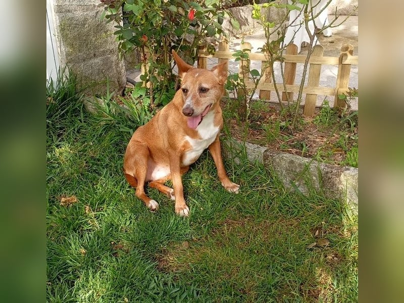 ❤️AUREA❤️    ❗NOTFALL❗