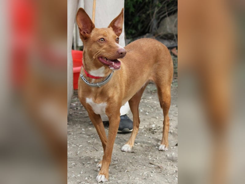 Wunderschöne Venus sucht eine Familie