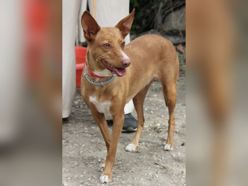 Wunderschöne Venus sucht eine Familie