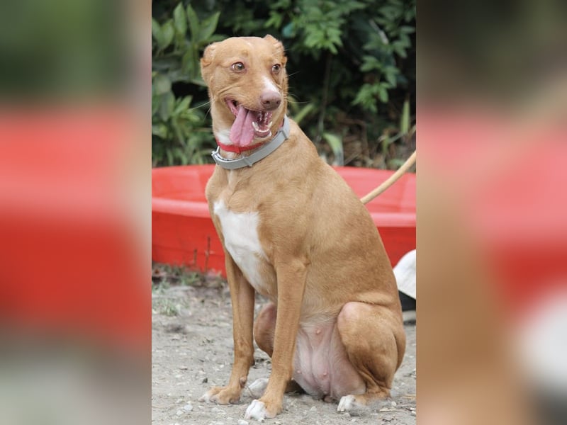 Wunderschöne Venus sucht eine Familie