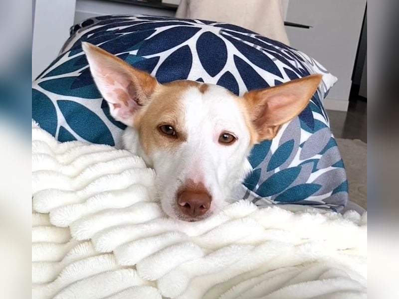 Sonnenschein SUNNY sucht ihren Platz zum Strahlen