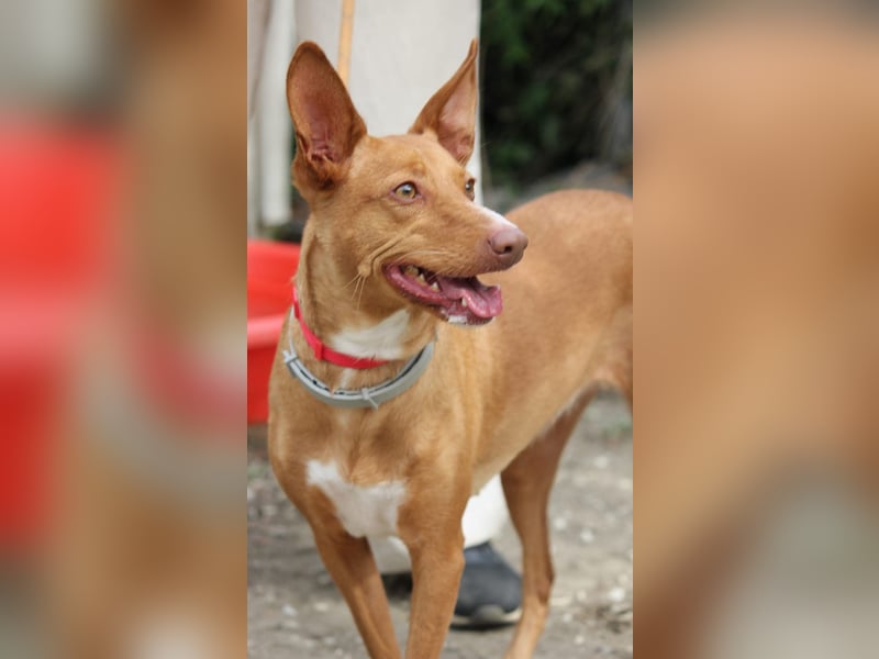 Wunderschöne Venus sucht eine Familie