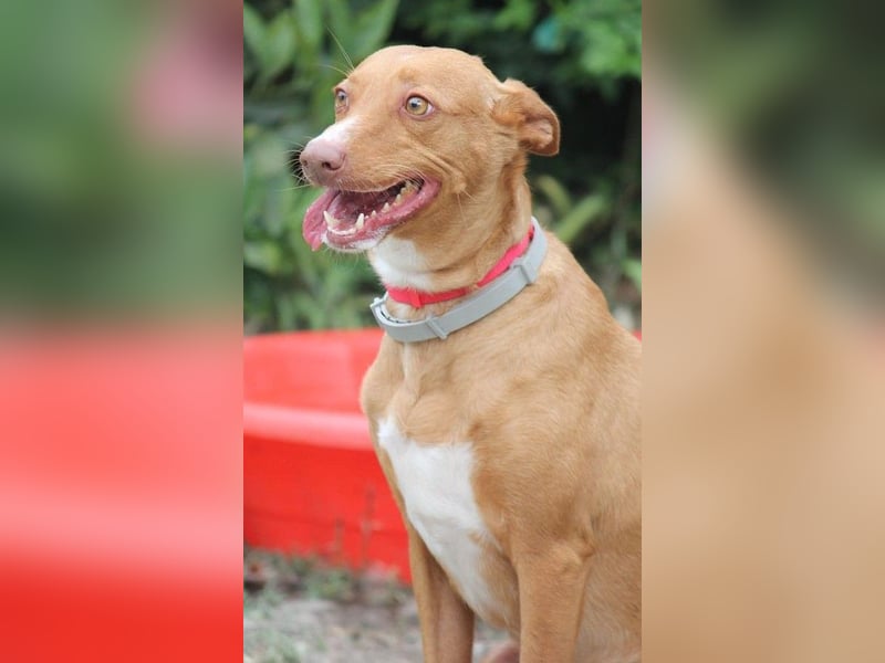 Wunderschöne Venus sucht eine Familie