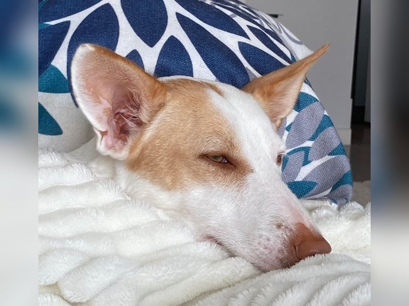 Sonnenschein SUNNY sucht ihren Platz zum Strahlen