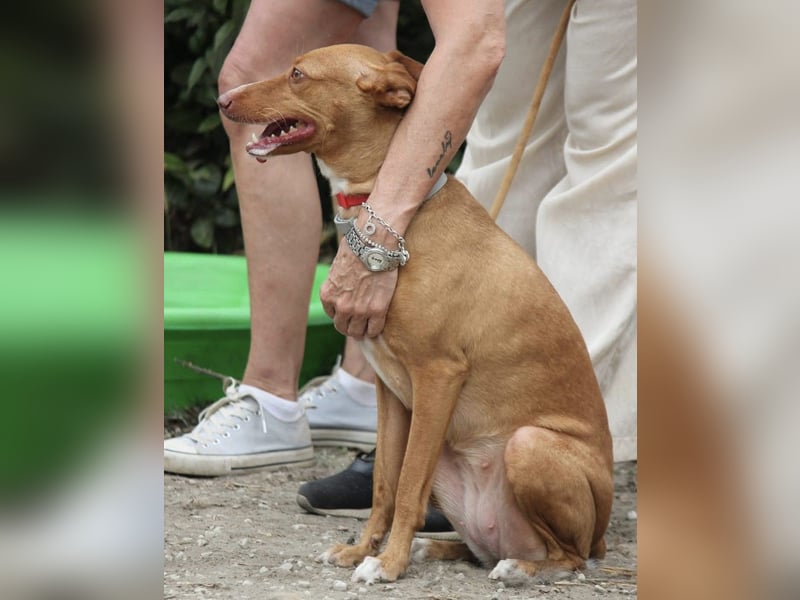 Wunderschöne Venus sucht eine Familie