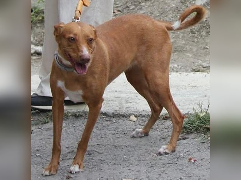 Wunderschöne Venus sucht eine Familie