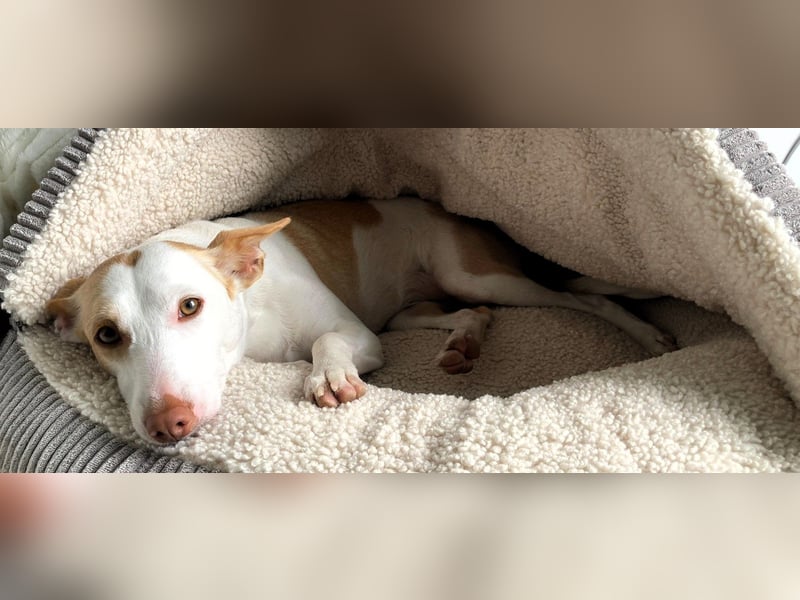 Sonnenschein SUNNY sucht ihren Platz zum Strahlen