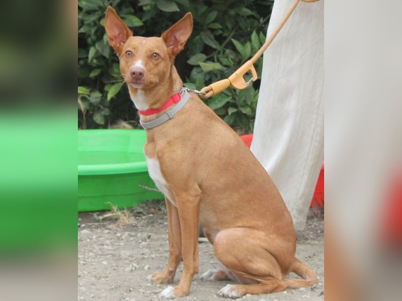 Wunderschöne Venus sucht eine Familie