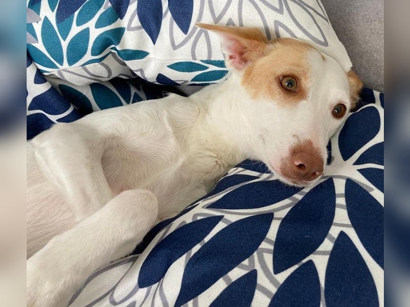 Sonnenschein SUNNY sucht ihren Platz zum Strahlen