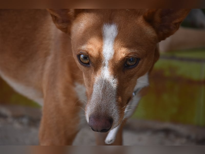 Kiriko, wer verliebt sich in ihn