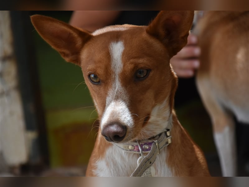 Kiriko, wer verliebt sich in ihn