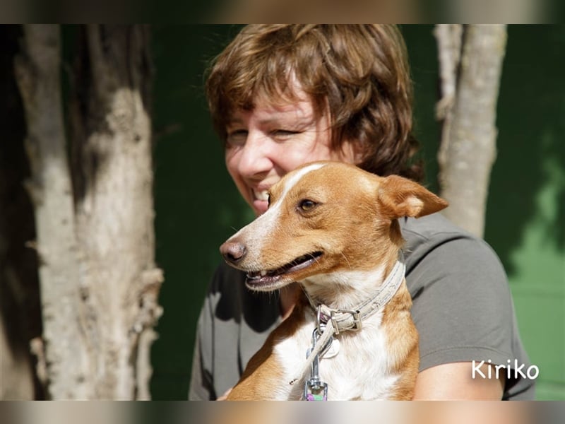 Kiriko, wer verliebt sich in ihn