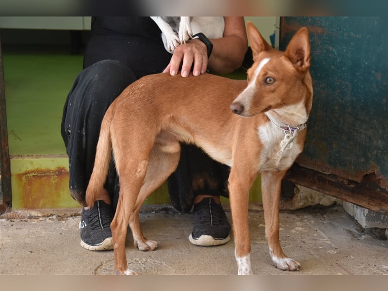 Kiriko, wer verliebt sich in ihn