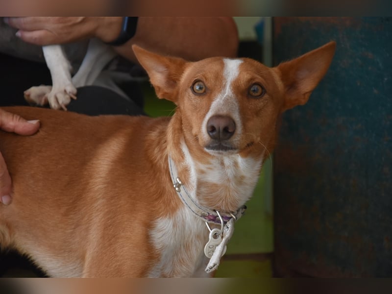 Kiriko, wer verliebt sich in ihn